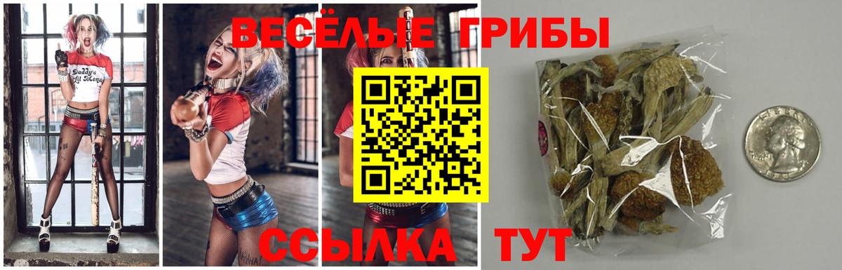 Псилоцибиновые грибы прущие грибы  Вход с VPN  Артём  Псилоцибиновые грибы Cubensis 